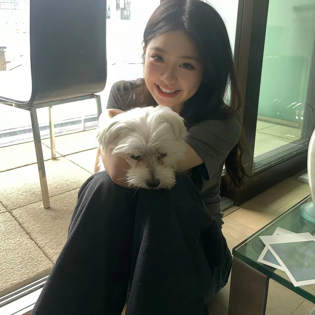 狗的生涯