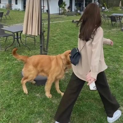 吓破胆